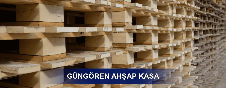 Güngören Ölçü Seçenekleri