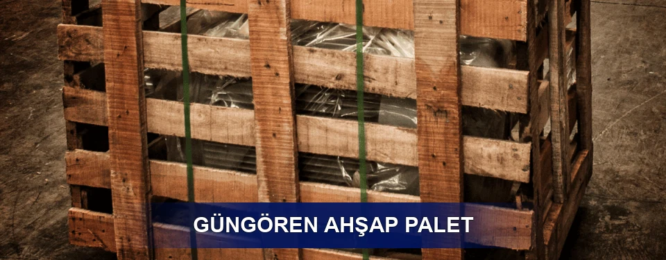 Güngören Ölçü Seçenekleri