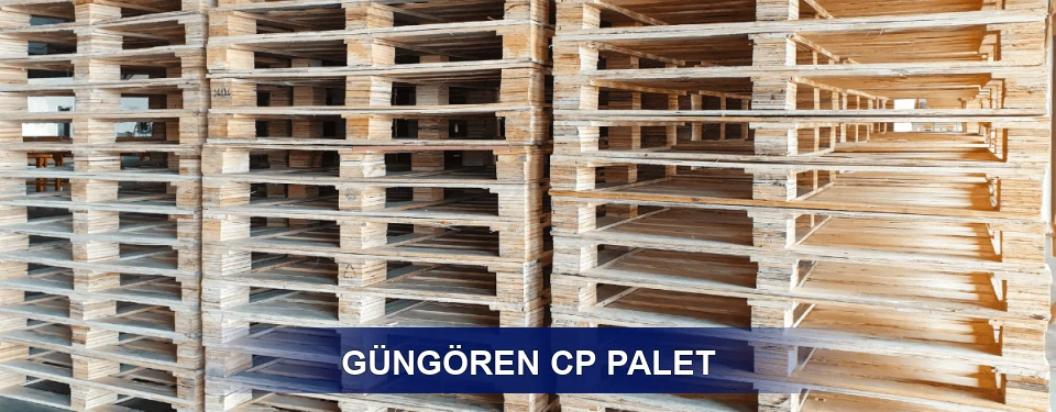 Güngören Standart Tipler