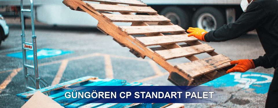 Güngören Fiyatlandırma