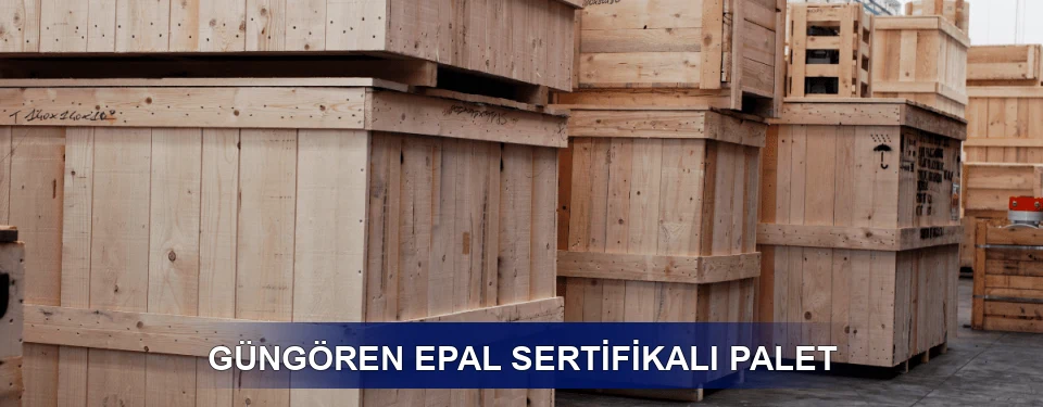 Güngören Fiyatlandırma