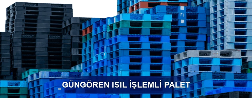 Güngören İşaretleme