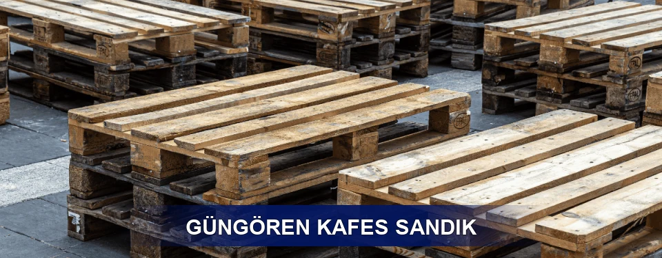Güngören Ağır Yük Taşıma