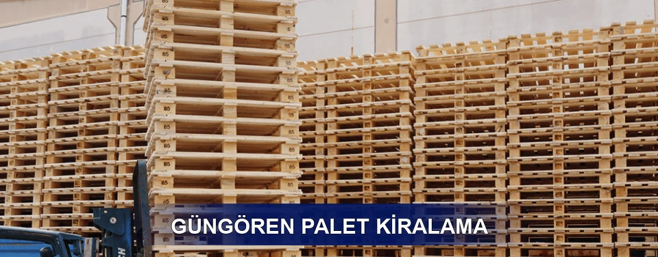Güngören Uzun Dönem