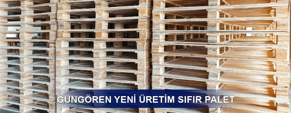 Güngören Fiyatlandırma